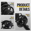 Front Pair Complete Struts Shock Absorber 272492 272491