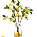 36 Pcs Faux Fruit Decoration Set Includes 6 Pcs 31.5 Inch Artificial Lemon Branch 30 Pcs 3 x 2 Inch Faux Yellow Lemon 5 Head Fake Fruit with Stem for Home Photography Prop Kitchen