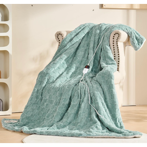 Heated Blanket Queen Size, 6 Heat Levels 1-4H Auto Off,Sage Green