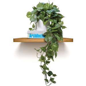 MY ROVALA Silk Plants for Home Decor Indoor in Pot Realistic Artificial Plants Hanging Faux Plants Indoor Fake Potted Plants for Shelves Bedroom Bathroom Trailing Plant, Fake Pothos Ivy (Dark Green)