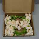 32Pcs Ranunculus Artificial Flower, Faux Light Champagne Ranunculus Flowers for DIY Bouquet, Bulk Fake Peony Wedding Filler Flowers for Centerpieces Arrangements Bridal Shower Decorations