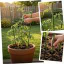 4 Pack Garden Tomato Cage for Pots, 24" Metal Tomatoes Cages Plant Support with Stable Support Rings (24")