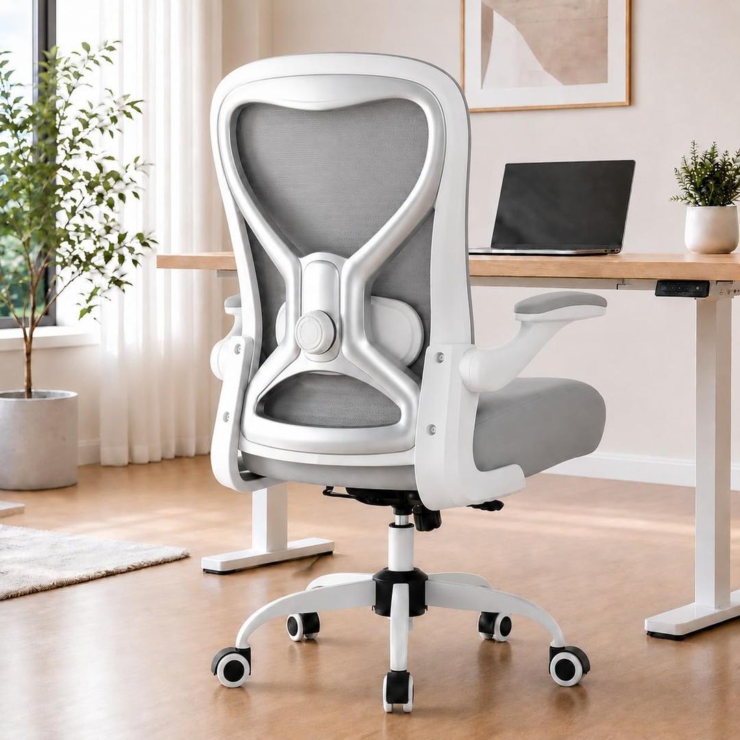 Ergonomic Home Office Chair, 4-Way Lumbar, Thick Cushion, 330LBS (Gray/Finish Silver)