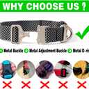 Heavy Duty Nylon Dog Collar with Metal Buckle | Quick Release Adjustable Dog Collar for Small Medium Large Dogs | Durable Outdoor Walking & Training Collars (Teal, 10"-16.5")