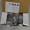 HOLKIE Office Chair Wheels Roller Blade Caster Replacement 11x22mm Black 3 Inch Desk for Office, Rubber Rolling Set of 5 for Hardwood Floors Gaming Chair Wheels Smooth & Silence Gliding (11mm-Fits Most-Not for High-Pile Carpet)