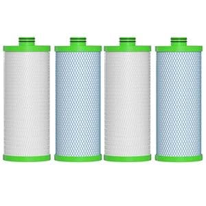 Water Filter Replacement Cartridge 2 Set (4 Count)
