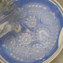 Philips Avent Microwave Steam Sterilizer for Baby Bottles, Pacifiers, Cups and More, SCF281/05