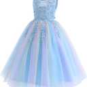 Flower Girls Embroidery Lace Bridesmaid Dress Beaded Wedding Pageant Party Princess Communion Floor Length Boho Dance Gown (Blue)