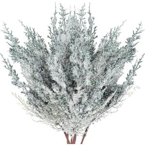 6 Pieces Frosted Artificial Cedar Pine Branches Sprigs 17" Snowy Faux Cedar Twig White Winter Greenery Stems Pine Picks Cedar Spray for Christmas Tree Craft Wreaths Garlands Holiday Season Decor (6)