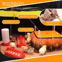 14 in 1 Pop Up Brooder Box for Chicks Starter Kit, Foldable Brooder Box, Complete Baby Chick Supplies with Heating Plate, Custom Feathers, Grass Mat, Feeder & Waterer for Baby Chicks, Ducks, Quail
