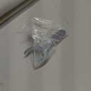 LazBlinds No Drill Blinds for Indoor Windows, Blackout Roller Shades, Cordless Window Blackout Blinds, Thermal Insulated Fabric UV Protection for Home and Office, 35" W x 72" H, Cream