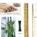 4 Ft Bamboo Stakes for Plant with Twist Ties 60 pcs Bamboo Sticks Plant Support Garden Stakes Poles for Tomatoes Cucumber Grapes Pole Beans Trees Potted Dahlia Flowers