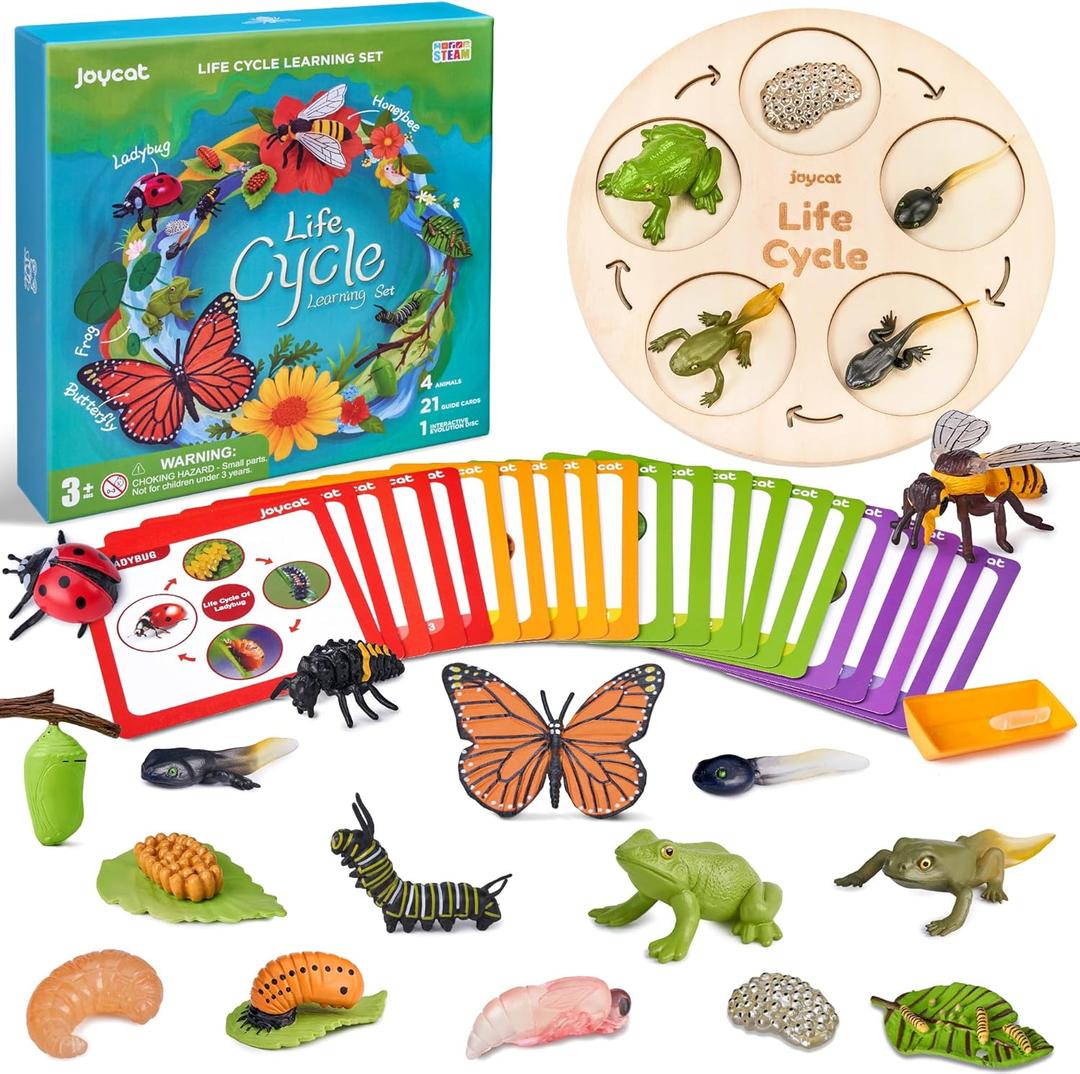 JoyCat Life Cycle Learning Education Toys, Insect Caterpillar to Butterfly kit, Ladybug, Bee, Tadpole to Frog Kit Life Cycle Toys for Kids, Preschool Learning Activities for Age 3 4 5 6 7 8
