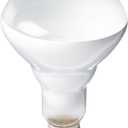 PHILIPS 408662 Soft White 65-watt Br30 Indoor Flood Light Bulb, 4 Count (Pack of 1)