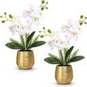 2 Pcs Orchids Artificial Flowers in Gold Ceramic Vase 13'' White Fake Flowers Phalaenopsis Faux Orchid for Home Office Wedding Party Dining Room Table Centerpiece Decoration