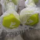 Amazon Basics Neoprene Dumbbell Hand Weights for Exercise and Muscle Toning