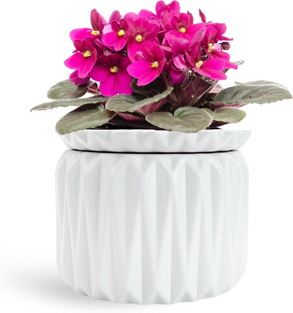 6 Inch African Violet Pots Self Watering, Ceramic Planter with Water Reservoir and Fill Lines, 4 Inch Opening, Indoor Flower Pot, Holds 3 Weeks of Water (1 Pack)