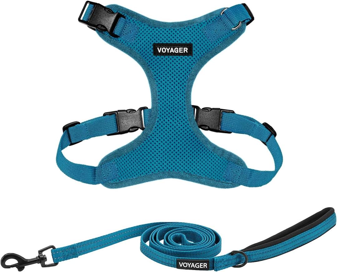 Best Pet Supplies Voyager Step-in Lock Pet Harness w Reflective Pet Leash Combo Set with Neoprene Handle 5ft - Supports Small, Medium and Large Breed Puppies/Cats - Turquoise Set, XS