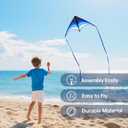 2 Pack Kites for Kids and Adults, Easy to Fly Delta Kite for Beach, Single Line Kite Set for Beginners, 63" x 30" Delta Kites for Teens with 2 * 300FT String Handles (Green&Blue)