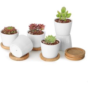 T4U 2.5 Inch Mini White Succulent Planter Pots with Bamboo Tray Round Set of 24, Tiny Ceramic Succulent Air Plant Flower Pots Cactus Faux Plants Containers, Gifts for Plant Lover, Home and Office Decor