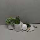 Winlyn Set of 3 Mini Potted Succulents Artificial String of Pearls Aloe Hops Succulent Plants in Gray Pots for Gifts Table Shelves Windowsill Office Desk Indoor Greenery Decorations Wedding Favors