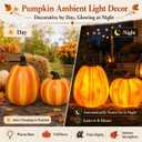 Solar Lighted Pumpkin Decor Outdoor Fall Porch Decorations for Halloween Thanksgiving Outdoor Pumpkin Lights LED Glowing Resin Pumpkins Set of 2 for Porch Patio Yard Garden Tabletop