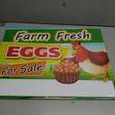 Fresh Eggs for Sale Sign, 18x24 DS Coroplast, Large Outdoor Farm Fresh Eggs Sign with Blank Space for Personal Info