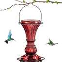 Glass Hummingbird Feeders Red Wild Bird Nectar Feeder for Outdoors Hanging Leak Proof 20 Ounces with 5 Feeding Ports, Decor Backyard