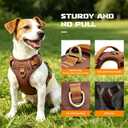 No-Pull Reflective Dog Harness with Handle – Soft Padded Vest for Dogs Heavy Duty Adjustable Anti-Choke Pet Harness with Front & Back Clip Harness for Walking, Training XS