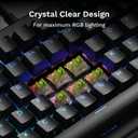Glorious Raptor Clicky Hall-Effect Magnetic Switches (36-Pack), Transparent Housing, Pre-Lubed Click Bar, HE Hot-Swap Compatible, RGB-Optimized
