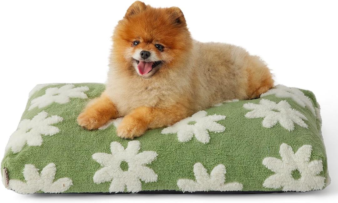 Lesure Small Dog Beds-Thick Shredded Chopped Foam Pet Bed Indoor with Removable Cover, Cute Modern Fuzzy Plush & Anti Slip Bottom, Green