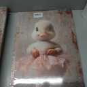 Framed Pink Ballet Skirt White Duck Canvas Wall Art Cute Duck Picture Wall Decor Funny Animals Poster Print for Kids Room Nursery Little Girl's Room Painting Artwork Home Decoration Ready to Hang, 16" x 24"