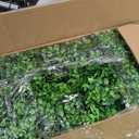 Lyrow 2 Pack Eucalyptus Plant,White,16.1 Inch,White Frosted Pointed Leaves