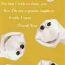 Thank You Clone Sock (6-Pack) Greeting Cards