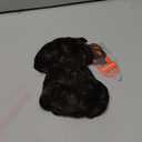 2PCS Messy Bun Hair Piece Tousled Updo with Tendrils Wavy Curly Hair Bun Scrunchies Ponytail Extension Elastic Band Hairpieces For Women (Dark Brown)