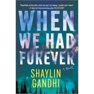 When We Had Forever: A Novel An Emotionally Charged Contemporary Romance of Mystery and Suspense, Paperback