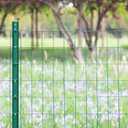 FOREHOGAR Green PVC Coated Welded Wire Fence 48 Inch x 100 Foot, 2 Inch x 3 Inch 16GA, Garden Border Fencing Roll Vinyl Coating Metal Wire Mesh for Yard Vegetable Plant Protection Poultry Netting