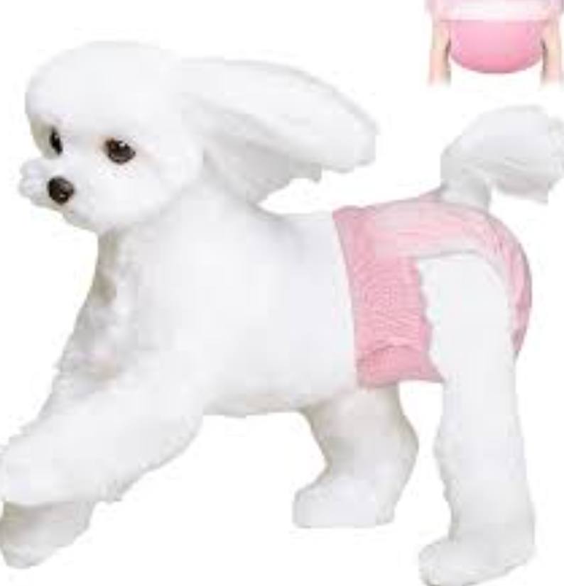 Ambreview Disposable Dog Diapers Female, Just Pull It Up, Doggie Diapers for Female Dogs, Strong Absorbency | Leak Proof, for Dogs in Heat | Elderly | Disabled, XS 30 PCS