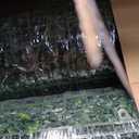 TTTM 96"x120" 80 Sqft, UV-Resistant Artificial Boxwood Hedge Roll Panel, 
Product Dimensions	120"L x 96"W