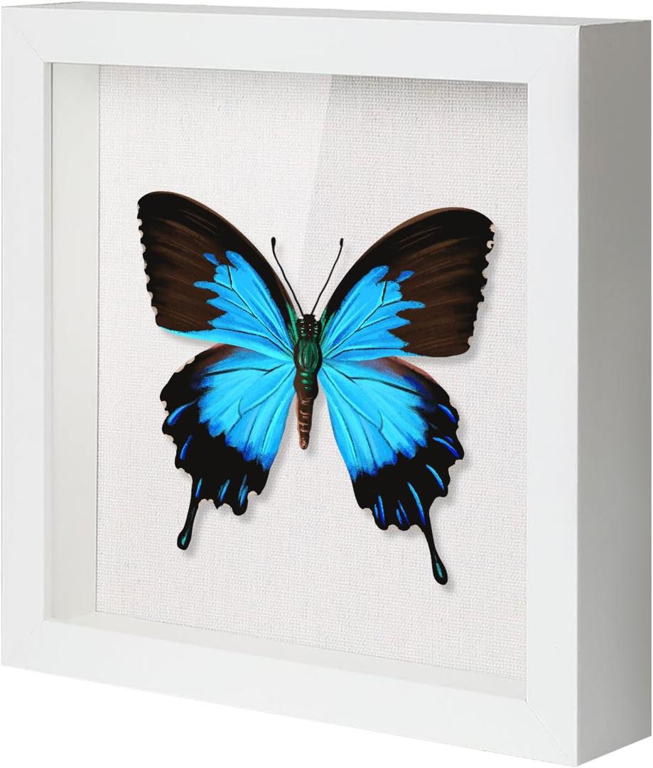 QDSSDECO 12x12 Shadow Box Frame with Linen Backboard & Real Glass, Wood Display Case, Deep Showcase to Hang The Photos, Tickets, Wedding Bouquets, Medals, Baby Sports Memorabilia,White