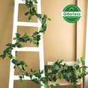dallisten 3 Strands Artificial Vines Kit, 71" Silk Eucalyptus Ivy Garland Green Leaves Natural Odorless, Fake Greenery Hanging Plants Decoration for Home, Bedroom, Wall, Party, Wedding Decor
