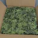 Artificial Cedar Garland for Christmas Decoration - Realistic Winter Greenery Garland for Mantel, Fireplace, Table, Door, Holiday Indoor Outdoor Decor 6FT