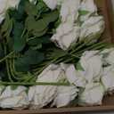 Alecono 20pcs Fake Roses, 4in Big Velvet Flower Head White Roses Artificial Flowers with Stems for Wedding Decorations, Silk Roses Bulk for Home Decor (Cream White)