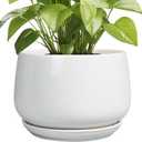 G EPGardening Ceramic Planter 9 Inch - Plant Pots with Drainage and Ceramic Saucer, Flower Pots for Indoor Plants, Modern Outdoor Planter, Living Room Decor, Gifts for Plant Lovers, White