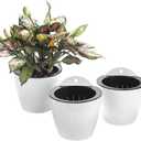 3 Pack Self Watering Wall Hanging Planter Pots Vertical Garden Window Hang Mount Indoor Outdoor Plant Flower Basket for Kitchen Herbs Balcony Railing Shelf Fence Bedroom Trellis Decor Modern White Box