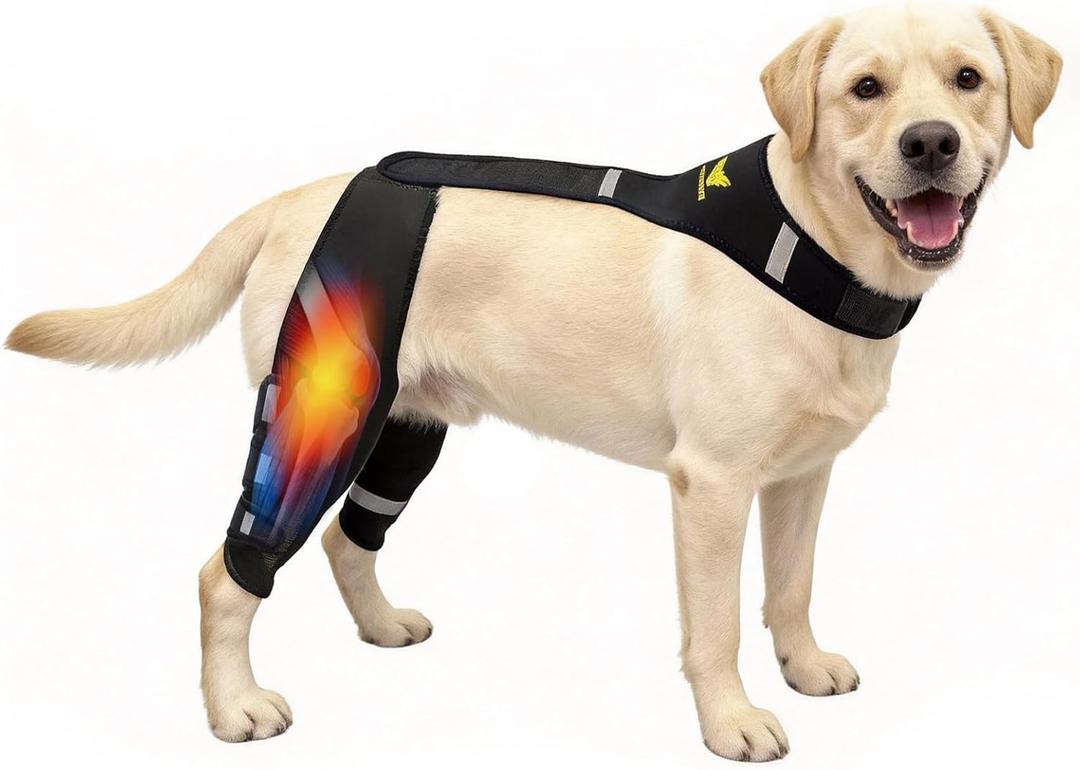 Dog Knee Brace for Torn ACL & Post Surgery Recovery - Hind Leg Support with Patented Double Strap System & Flexible Splints, Relieves Lameness & Arthritis Pain for Small to Medium Dogs (M)15-40LB