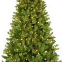 National Tree Company 6 ft Pre-lit Artificial Christmas Tree, North Valley Spruce, 300 Clear Lights, Hinged Branches, 800 Branch Tips, Includes Stand, Green