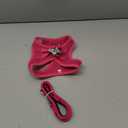 rabbitgoo Dog Harness Small Medium Sized and Leash Set, Step in Soft Light Puppy Vest, Breathable Mesh Pet Harness, Reflective for Safe Easy Walking, Rose Red Size: S (Chest: 15.1 - 16.5")