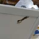 JUBEST Sliding Closet Door 60"(Double 31") x80", 6-Panel Steel Frame Bypass Primed Door with Top & Bottom Track Kits, Preassembled Hardboard Panels with Paintable Surface, Durable & Sturdy