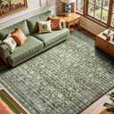 Lofus 5x7 Area Rug for Living Room,Green Washable Area Rugs with Non-Slip Backing,Soft Boho Carpets for Bedroom Dining Room Home Office Indoor Nursery